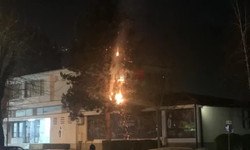Деца со пиротехника запалија дрво пред Музејот во Тетово, изгаснат од пожарникарите пред да се прошири