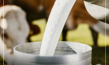 На 4 311 млекопроизводител исплатени 277,9 милиони денари премија