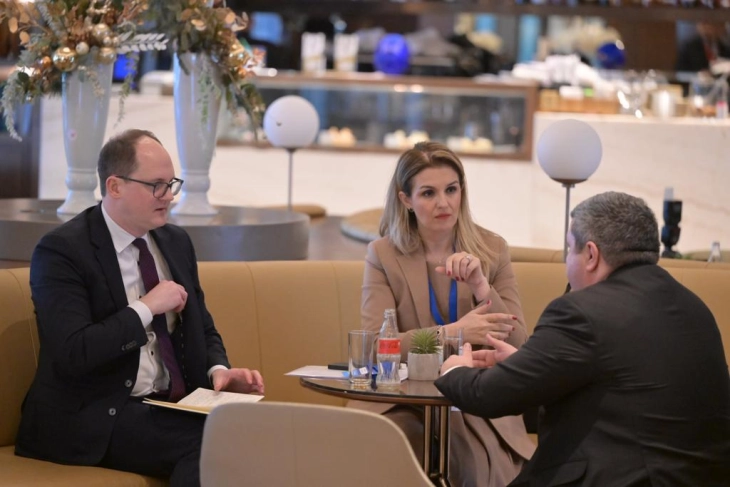 Deputy PM Marichikj meets with Atlantic Council’s Jörn Fleck