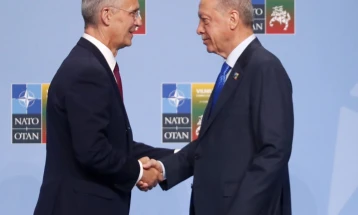 Ердоган и Столтенберг разговараа за одобрувањето на Турција за прием на Шведска во НАТО