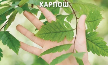 Општина Карпош доби детална студија за зеленилото на својата територија