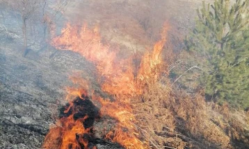 Каменичките пожарникари гаснеа пожар во атарот на селото Саса