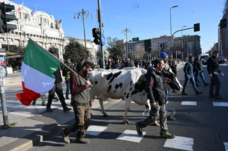 Италијанските земјоделци демонстрираат против бирократијата и евтиниот увоз