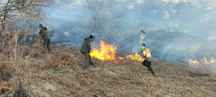 Четворица ренџери од Националниот парк Шар Планина сами изгасиле пожар над тетовско Јеловјане
