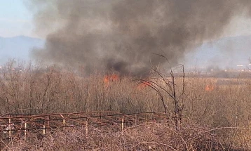 Струмичките пожарникари гаснеле пожар во Моноспитовското блато