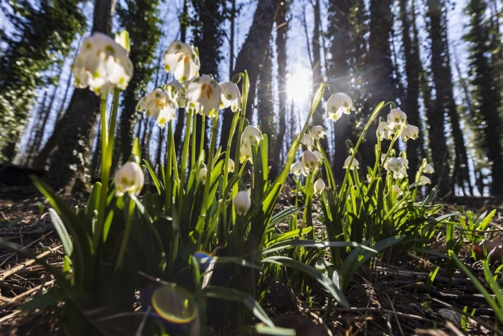 Weather: Mostly sunny, windy; high 16°C