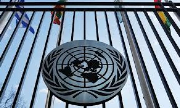 Арапските земји апелираа до Советот за безбедност на ОН да побара прекин на огнот во Газа