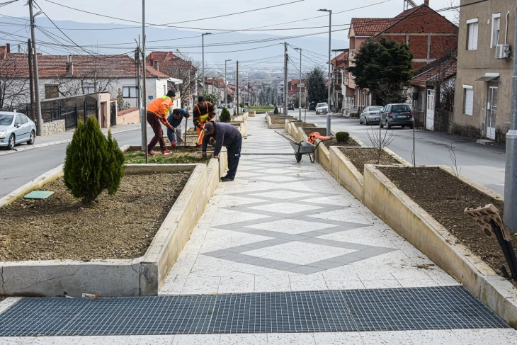 Хортикултурно се уредува покриениот канал во Струмица, несовесни граѓани ги крадат новозасадените дрвца