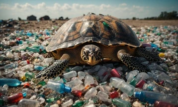 Nga viti 2030 BE do të ndalojë ambalazhet plastike në restorante