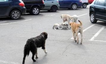 Општина Велес ќе ги контролира сите сомнителни пријави од граѓани за каснување од куче