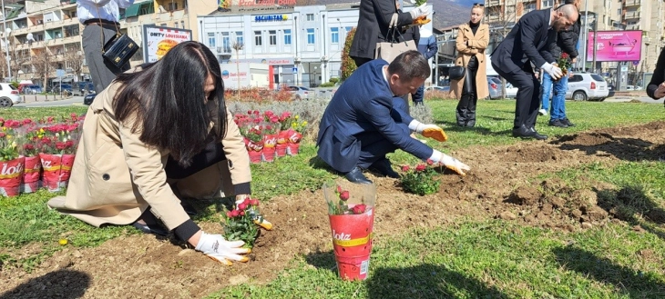 Gratë e punësuara në komunën e Tetovës së bashku me kryetarin mbollën lule në qendër të qytetit