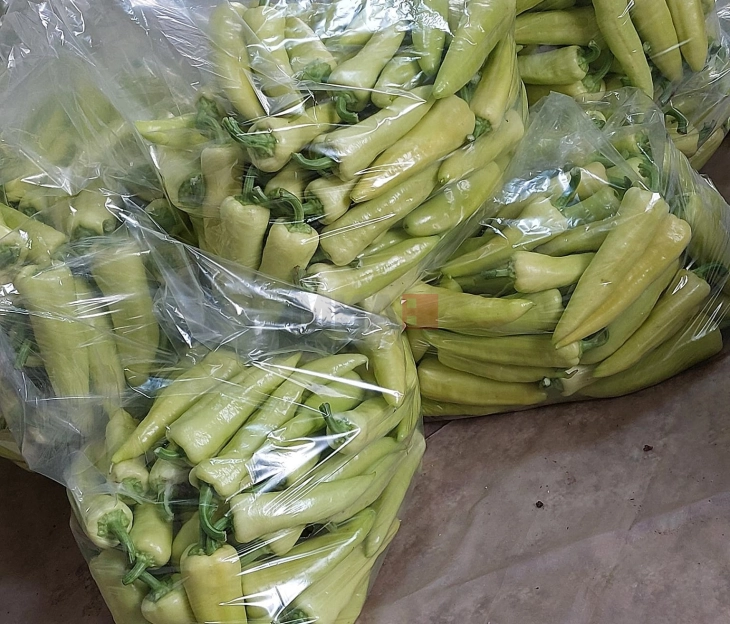 Лутите пиперки во Струмичко се откупуваат по пониски цени од лани