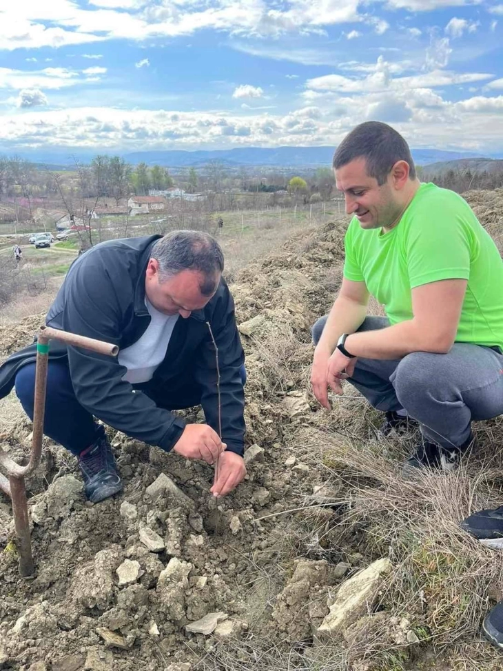 Negotino locals plant 1,500 acacia saplings