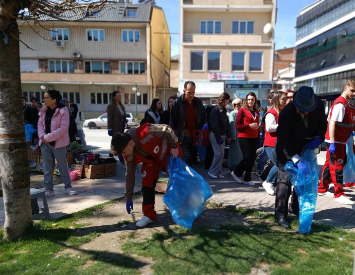 Со акција за чистење, во Гостивар одбележан Денот на екологијата