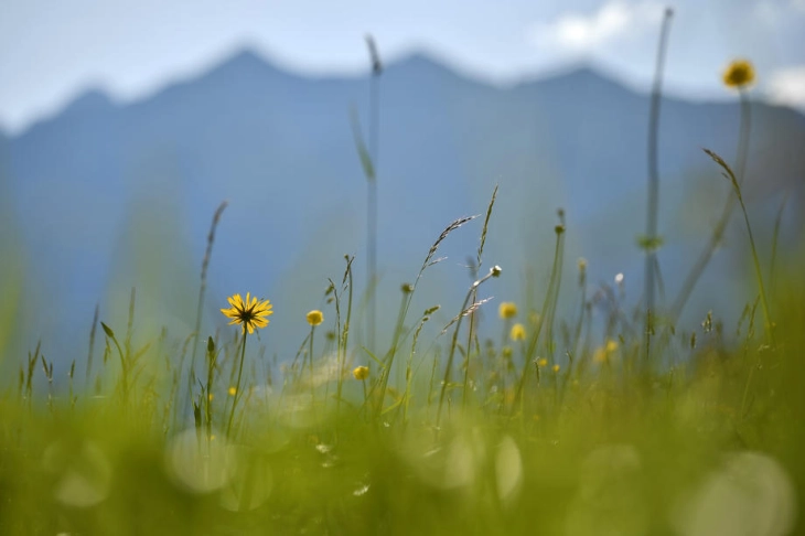 Temperatura në minus në Berovë dhe Llazaropolë