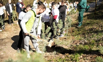 Град Скопје: Еколошка акција за пошумување на парк шумата Водно
