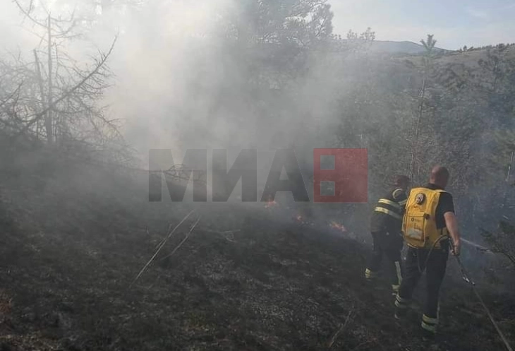 Локализиран пожар во туристичката населба Абланица во Берово
