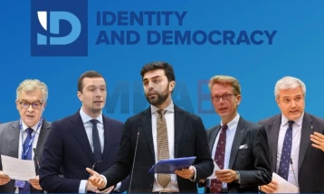 Групата Идентитет и демократија – алатка на бракот од интерес на европската екстремна десница 