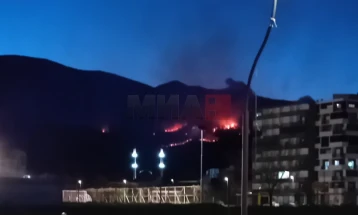 Шумскиот пожар кај гостиварско Дебреше се уште активен
