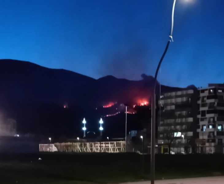 Zjarri në pyll afër Debreshës së Gostivarit është ende aktiv