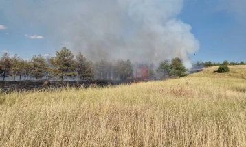 ЦУК: Два активни пожара - по еден во општините Кичево и Гостивар