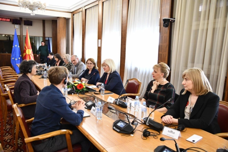 Мешовитиот парламентарен комитет на средба со европратеничката Тинеке Штрик