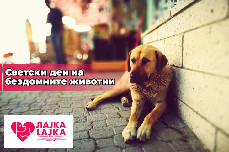 На Светскиот ден на бездомните животни, „Лајка“ апелира за одговорно сопствеништво