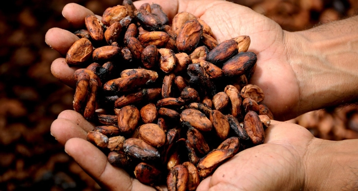 Времето на евтини цени на какаото е минато, глобалните трендови ќе се одразат и кај нас