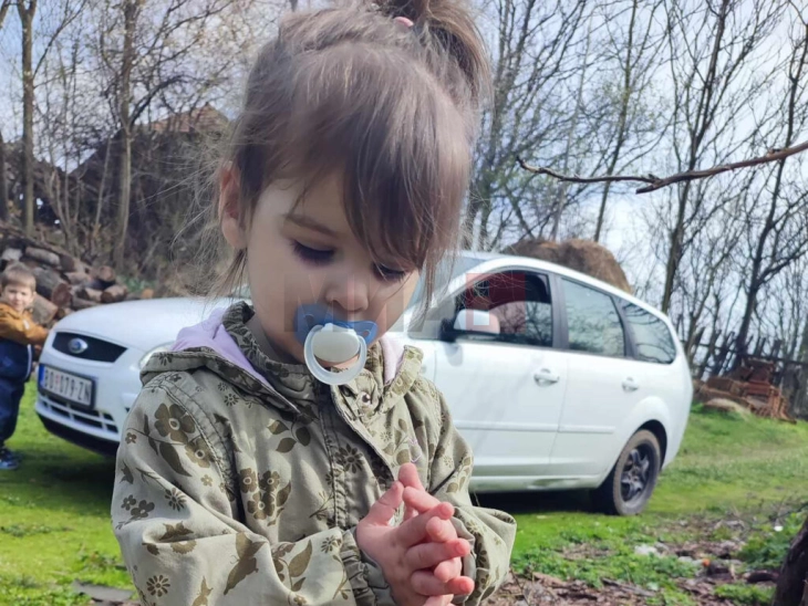 Arrestohet edhe vëllai i njërit prej të dyshuarve për vrasjen e Danka Iliqit