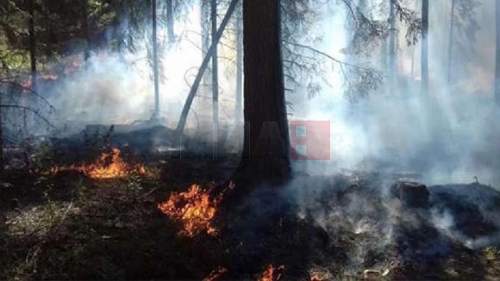 ЦУК: Стишени двата пожара во Дебарско, воздухопловната противпожарна поддршка во состојба на готовност