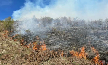 Пожарите во Дебарско изгаснати, активен само еден во село Бомово