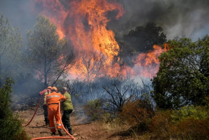 Шумските пожари лани уништиле над 500.000 хектари земјиште во ЕУ  