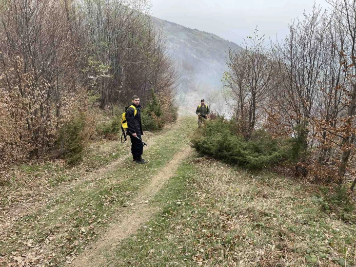 Ставен е под контрола пожарот над тетовско Селце