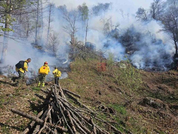 За еден месец изгорени над 400 хектари шума во Националниот парк Шар Планина
