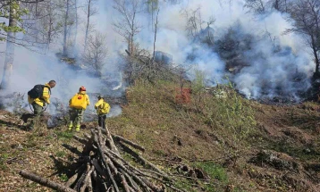 За еден месец изгорени над 400 хектари шума во Националниот парк Шар Планина