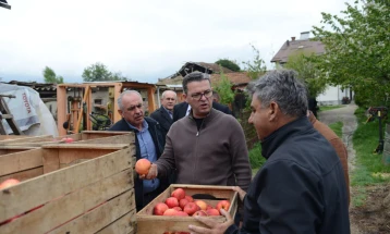 Трипуновски: Јаболкото во Ресен ќе остане неоткупено заради големиот увоз на странско јаболко во Македонија