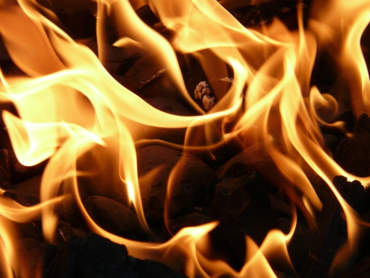 Пожар зафати куќа во неготинско Долни Дисан