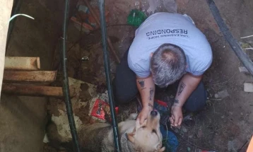 ЦУК: Куче паднато во шахта остави без интернет дел од болницата „Филип Втори“ и поликлиниката „Букурешт“
