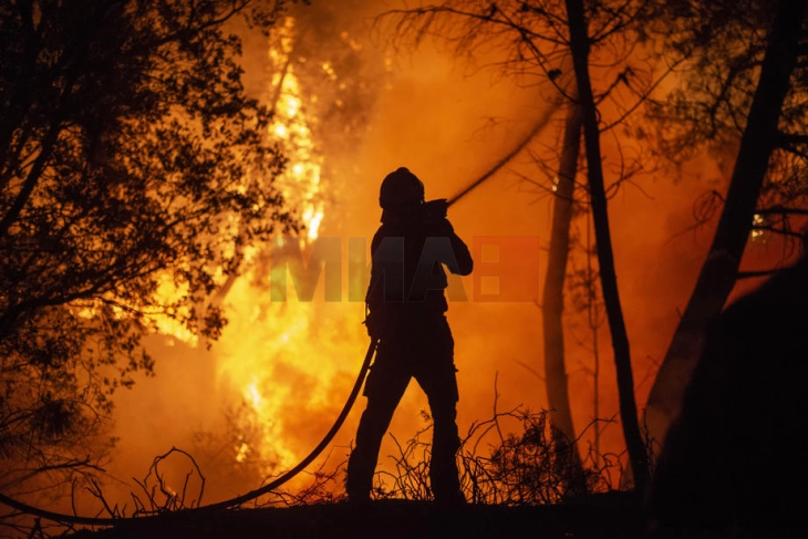 ЕУ ќе стационира пожарникари од 12 земји на жариштата на шумските пожари