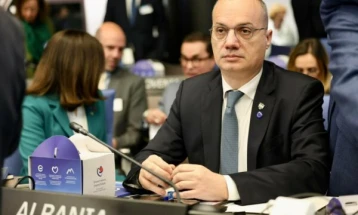 Игли Хасани: Косово изгуби историска можност, да се заложи за исполнување на обврските за членство во СЕ