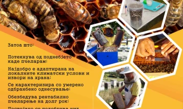 Светски ден на пчелата