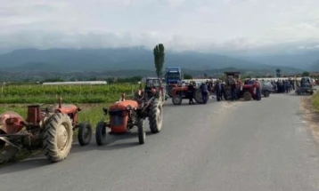 Земјоделци од селата Иловица и Штука го блокираа патот заради ниските откупни цени на младиот компир