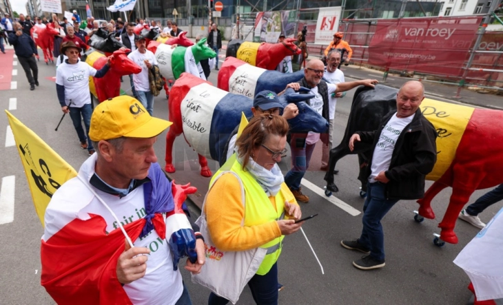 Протест на млекопроизводителите пред институциите на ЕУ во Брисел