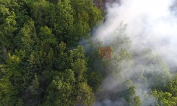 Пожарникари од Радовиш цела ноќ гаснеле опожарена дабова шума, пожарот се уште активен