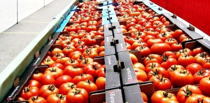 Трипуновски:  Постигнат договор за минимална откупна цена на црвениот и розевиот домат
