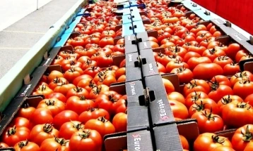 Трипуновски:  Постигнат договор за минимална откупна цена на црвениот и розевиот домат