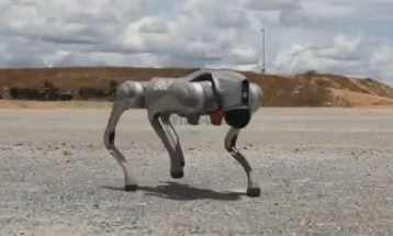 Кина ги обучува своите вооружени „кучиња-роботи“