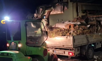 „Комунална хигиена“: Енормно зголемен градинарскиот отпад во Карпош