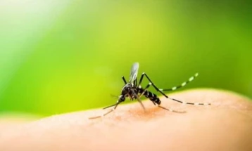 Во Штип во вторник ќе се прска против комарци