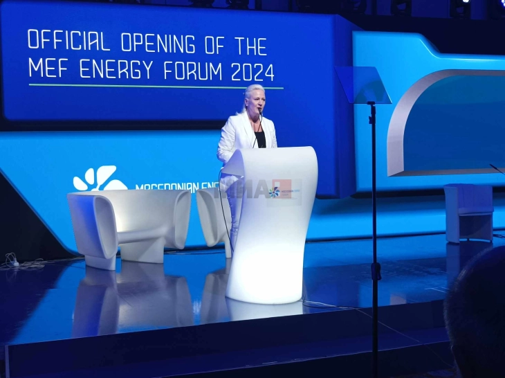 Агелер: Енергетската сигурност и зелената енергија се приоритети што треба да ги надминат партиските политики